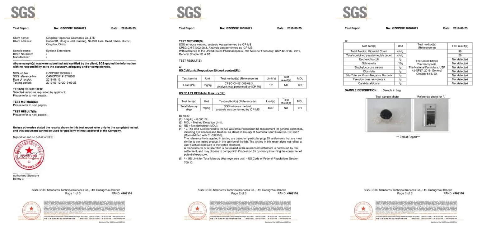 SGS 検査